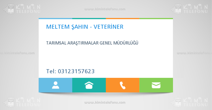 MELTEM ŞAHIN - VETERİNER