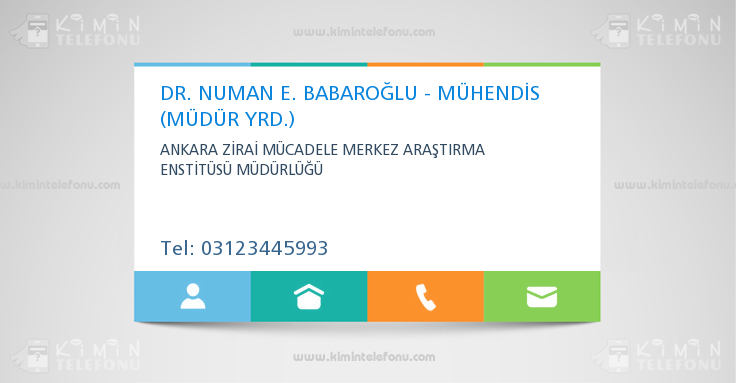 DR. NUMAN E. BABAROĞLU - MÜHENDİS (MÜDÜR YRD.)